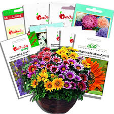 <span style="font-weight: 700;"><strong>НАСІННЯ КВІТІВ</strong></span><br>